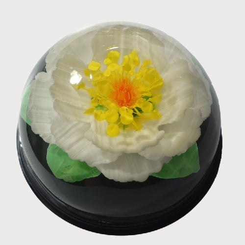 Gelatin Art