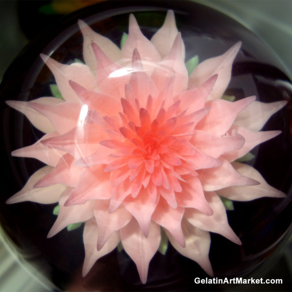 Gelatin Art 7 Tool Set #3