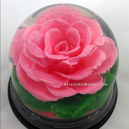 Gelatin Art Tool