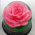 Gelatin Art Tool