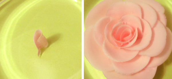 Gelatin Art Tool Rose