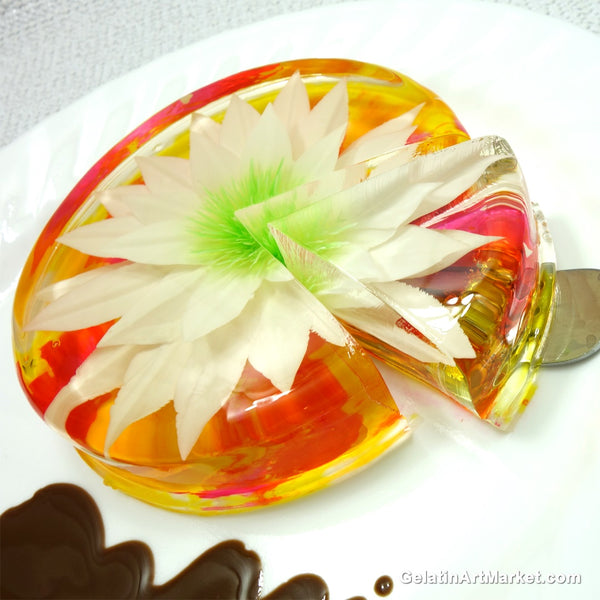 Gelatin Art Starter Kit With Tools