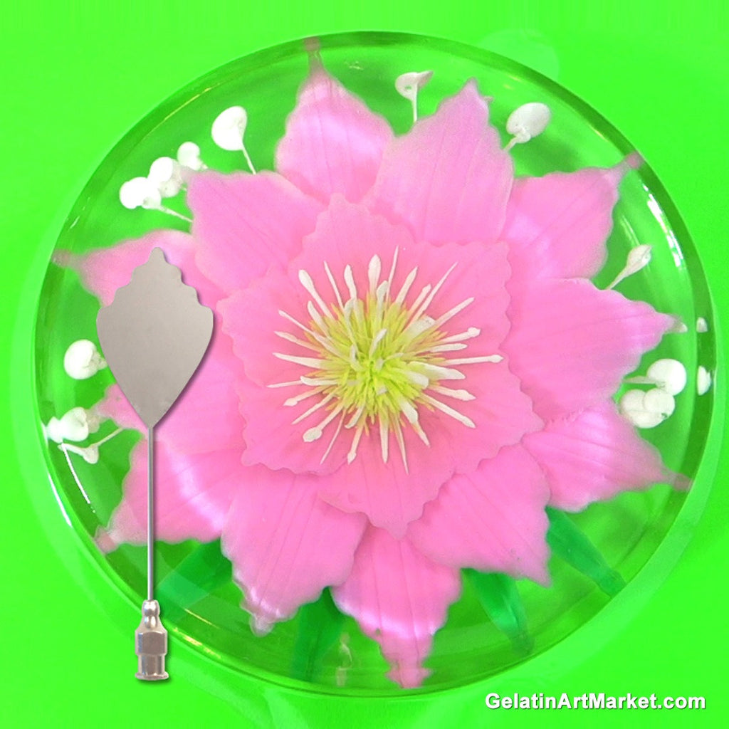 Gelatin Art Tool For Making Flowers In Clear Gelatin | Gelatin Art Market Gelatin Art Tool For Making Flowers In Clear Gelatin | Gelatin Art Market